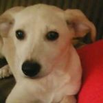 Profile Picture of aaron lopez tabares (@aaronlopez7073) on Instagram