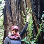 Profile Picture of Lori Fleischmann (@lori_lorison) on Instagram