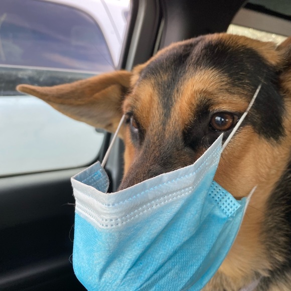 Profile Picture of Connie Timperio (@cftimperio) on Poshmark