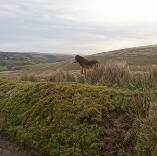 Profile Picture of Jon Maddocks (@jon.maddocks.3) on Facebook