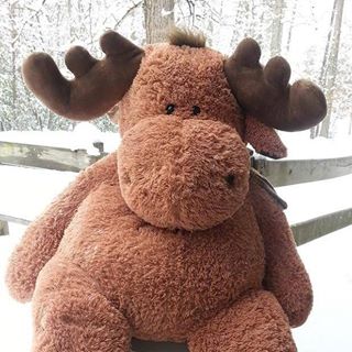 Profile Picture of Fred Moose (@fred.moose.7) on Facebook