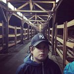 Profile Picture of Adrian (@adri__castrillo) on Instagram