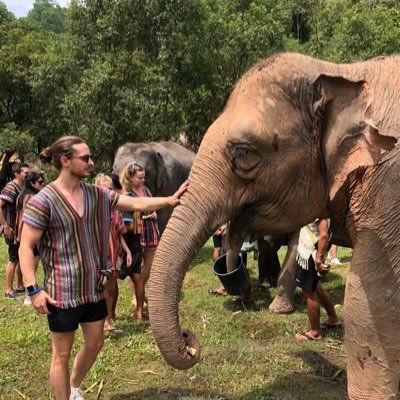 Profile Picture of Michael Rimmer (@mike_rim) on Twitter