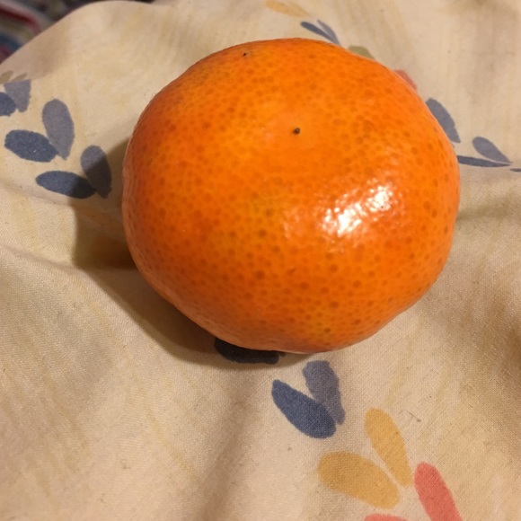 Profile Picture of Gabrielle Draper (@missgabbyd) on Poshmark