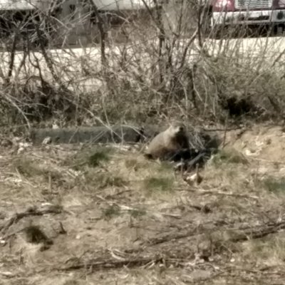 Profile Picture of Keith Morin (@KeithMorin14) on Twitter