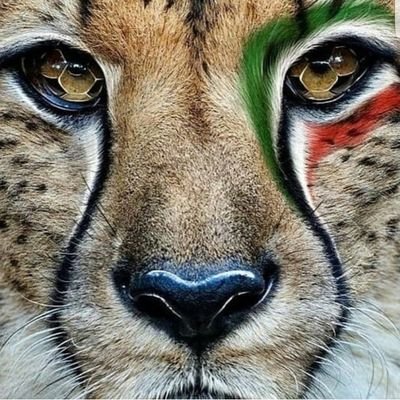 Profile Picture of Sam 🇮🇷🇮🇷🇩🇪🇩🇪 (@AliBARZEGAR14) on Twitter