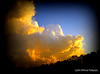 Profile Picture of Cynthia McPherson Photography (@Cynthia McPherson Photography) on Flickr