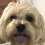 Profile Picture of Julian Fiore (@jnominator) on Instagram