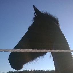 Věra Hojná - Twitter Profile Picture of Věra Hojná (@Petuna_1) on Twitter