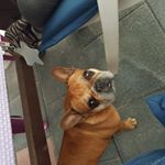 Profile Picture of Jessica Schwarzer (@jessica.schwarzer.5059) on Instagram