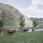 Profile Picture of Bruhne Kotlobulatov (@bruhnekotlobulatov) on Instagram