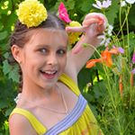 Profile Picture of shirley wilkinson (@wilkinson9357tp) on Instagram