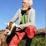 Profile Picture of Roy MacGregor (@roymacgregor1955) on Instagram