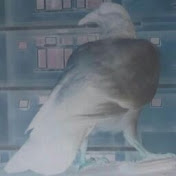 Profile Picture of Peter Penn (@peterpenn8464) on Youtube