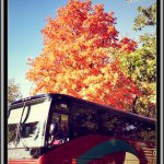 Profile Picture of Jim Clifton (@clif511) on Instagram