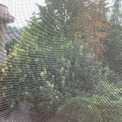 Profile Picture of Joe. Escano (@EscanoJoe) on Twitter