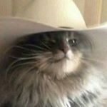 Profile Picture of Ian Kolb (@iankolb.2) on Instagram