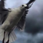 Profile Picture of K E V I N✈️ (@kevinfromwildestdreams) on Instagram