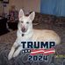Profile Picture of Ronald Nettles (@ronald.nettles.7) on Facebook