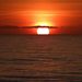 Profile Picture of Rose Matthews (@rosematt) on Pinterest