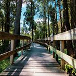 Profile Picture of Daniel (@crocco515) on Instagram