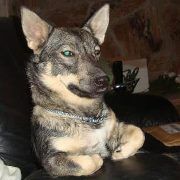 Profile Picture of Ted Sell (@thesellrep) on Pinterest