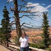 Profile Picture of Stacey Hazuda (@staceyhazuda2772) on Youtube