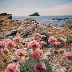 amy🥀 - Instagram Profile Picture of amy🥀 (@amyreidyy) on Instagram