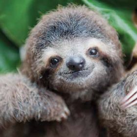 Profile Picture of Tyler Endres (@endres0536) on Pinterest