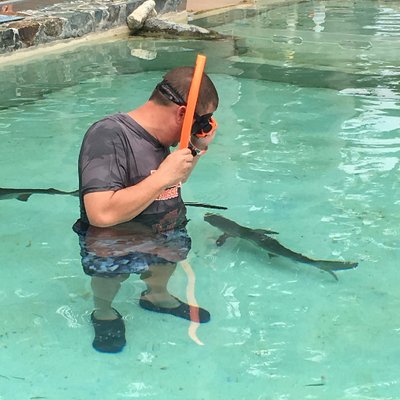 Profile Picture of Scott Landy (@slandy) on Twitter