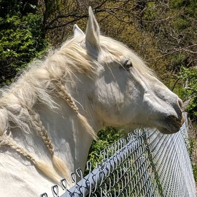 Profile Picture of Adam Stillwell (@AdamStillwell2) on Twitter