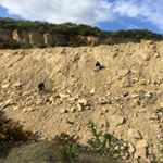 Profile Picture of Tommy Mcmanus (@tommymcmanus.13) on Instagram