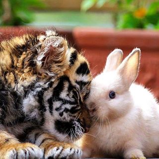 Profile Picture of Jin Long (@jin.long.96155) on Facebook