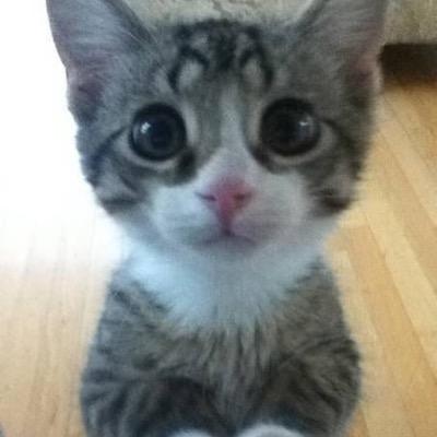 Supriya Nair - Twitter Profile Picture of Supriya Nair (@Sup9nair) on Twitter