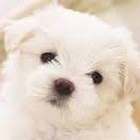 Profile Picture of Amelia Alarcon (@amelia-alarcon-4) on Quora