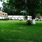 Profile Picture of Aaron Fonseca (@aaron.fonseca.501) on Instagram