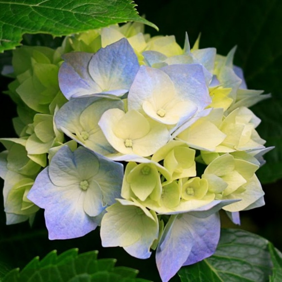 Profile Picture of Jessica Bolduc (@jbolduc239) on Poshmark