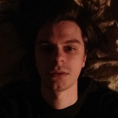 Profile Picture of Lucas Brink (@BrinkTheSinner) on Twitter