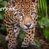 Profile Picture of Tyson Tottle (@tysontottle) on Tiktok