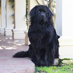 Profile Picture of Andre Combs (@allissin) on Instagram