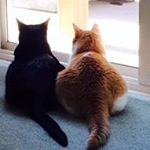 Profile Picture of Lisa Seaton (@luludaisy25_) on Instagram