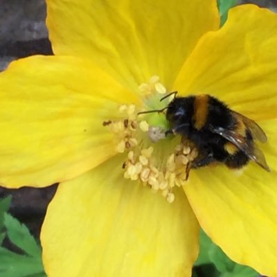 Profile Picture of Alan Waring (@alanwaring1) on Twitter