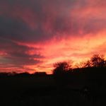 Profile Picture of Michael Neuhaus (@michael.neuhaus.5872) on Instagram