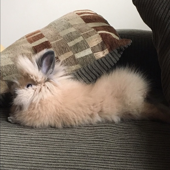 Profile Picture of Jill Chadima (@chadima69) on Poshmark