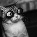 Profile Picture of Arturo Molinar Avitia (@art_bo_jenkins) on Instagram