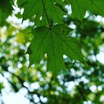 Erik Bullock - Instagram Profile Picture of Erik Bullock (@photos_by_ericko) on Instagram