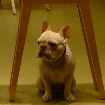 Profile Picture of Mark Norrell (@W_P_Optical) on Twitter
