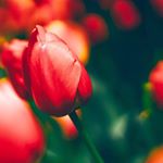 Profile Picture of Taylor Gist (@photo.gist) on Instagram