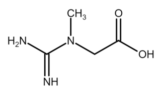 Profile Picture of Creatineon Wikipedia