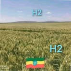 Profile Picture of Musa Gena (@zamzam.hajii.2025) on Facebook